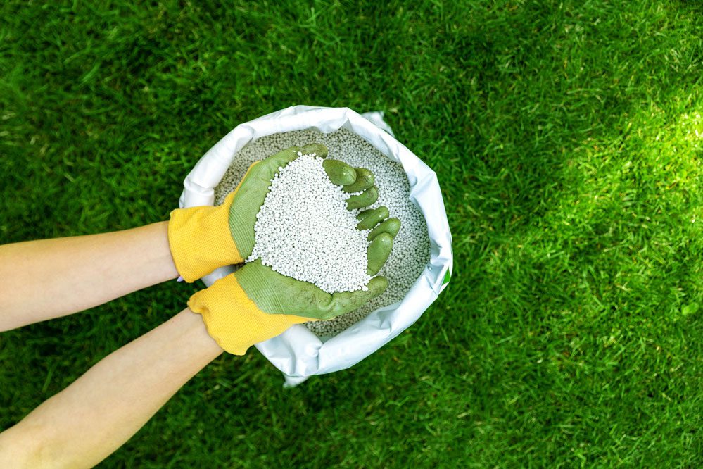 What Lawn Fertilizer to Use in July 
