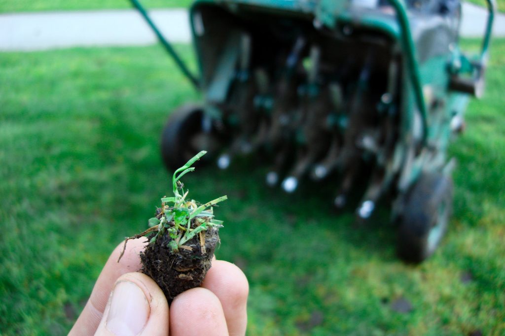 A client holds a plug from aerating their lawn as part of Fit Turf’s tips for spring lawn care.
