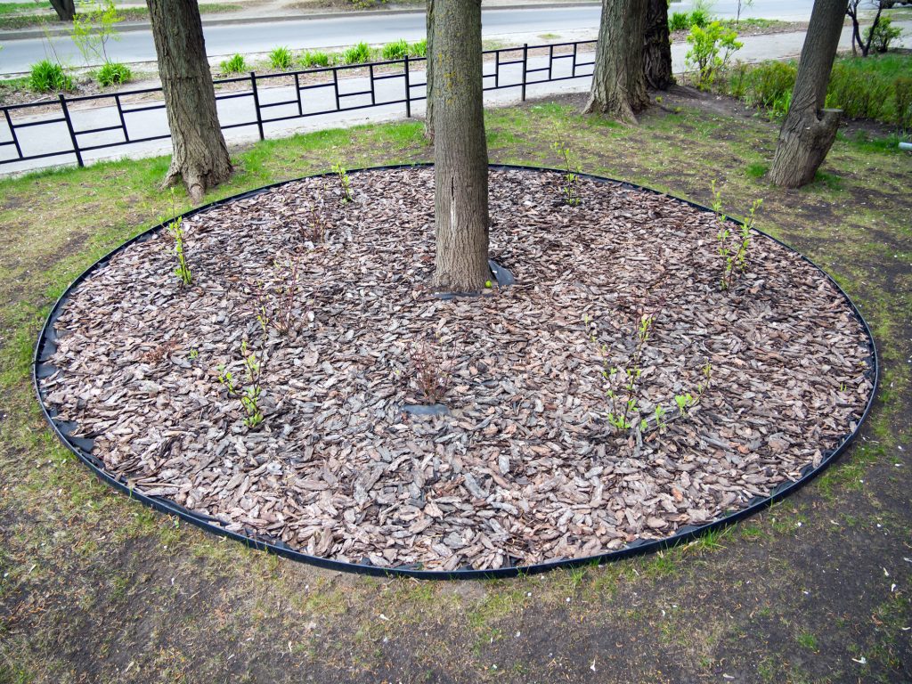 tree mulch ring from Fit Turf