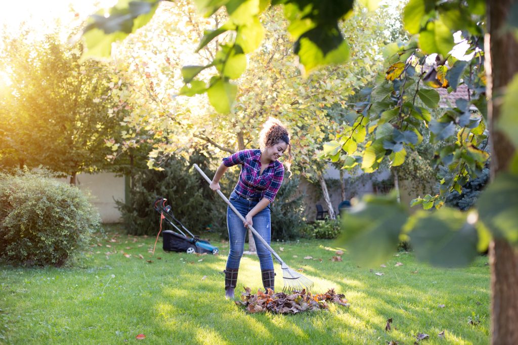 Woman staying on top of fall cleanup to reduce the risk of damage, pests, and diseases over winter.